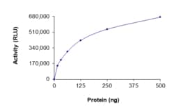 Sino Biological&nbsp;Recombinant Human HRAS Protein (Mature form, His Tag), Active